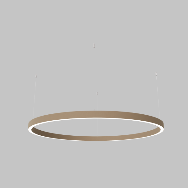 LOOPD12 - Image 2