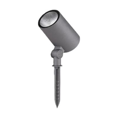 L-AGSP1
